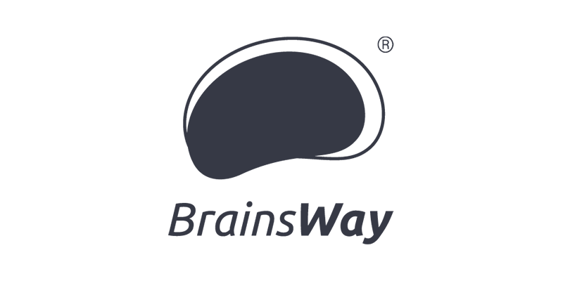 Brainsway logo grey