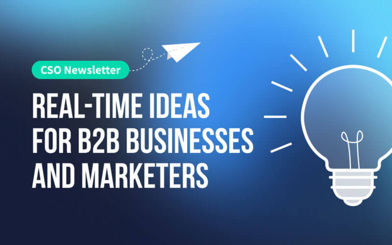 blue background with the newsletter title "Real-time ideas for B2B Businesses and Marketers" in white text