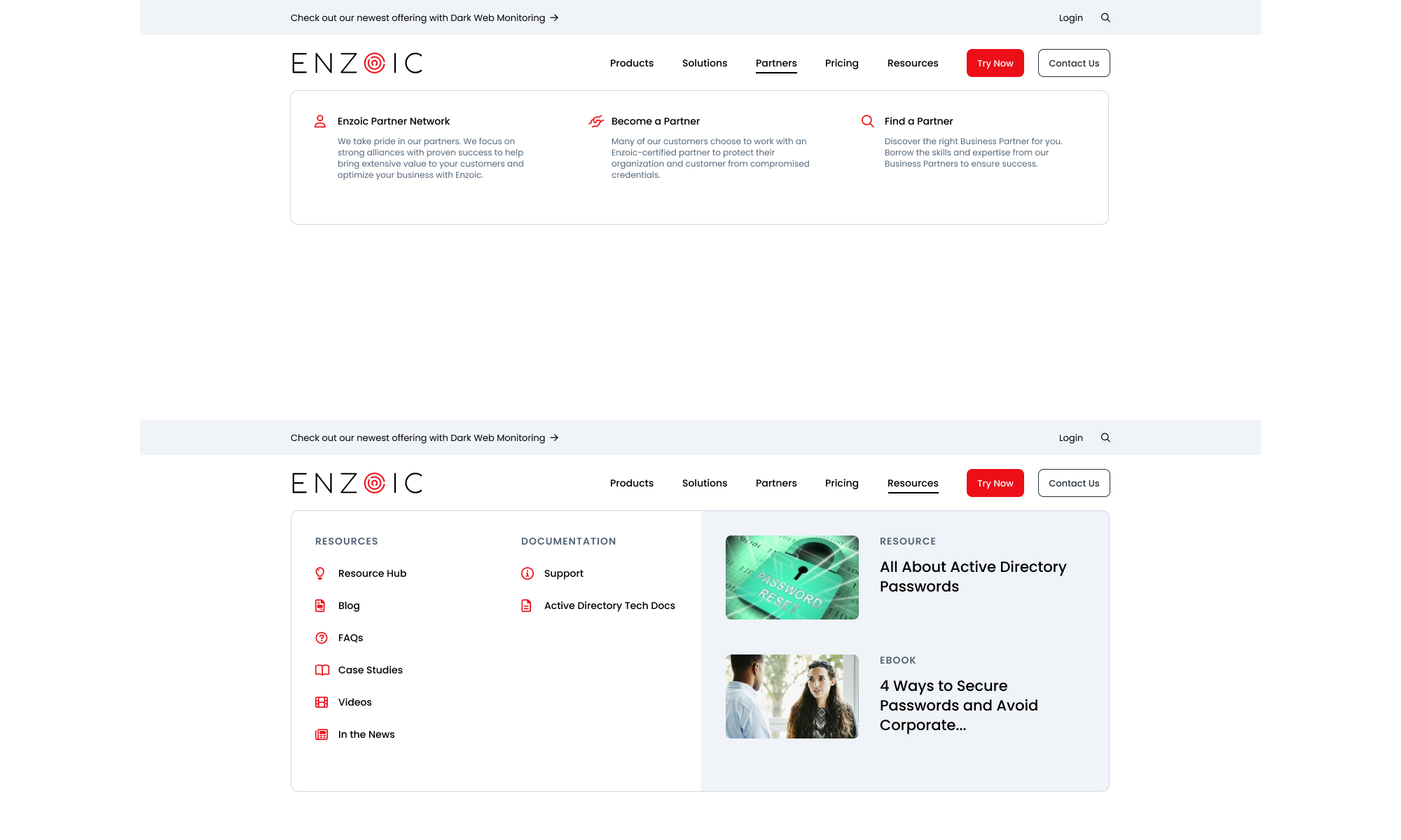 Enzoic Website designs