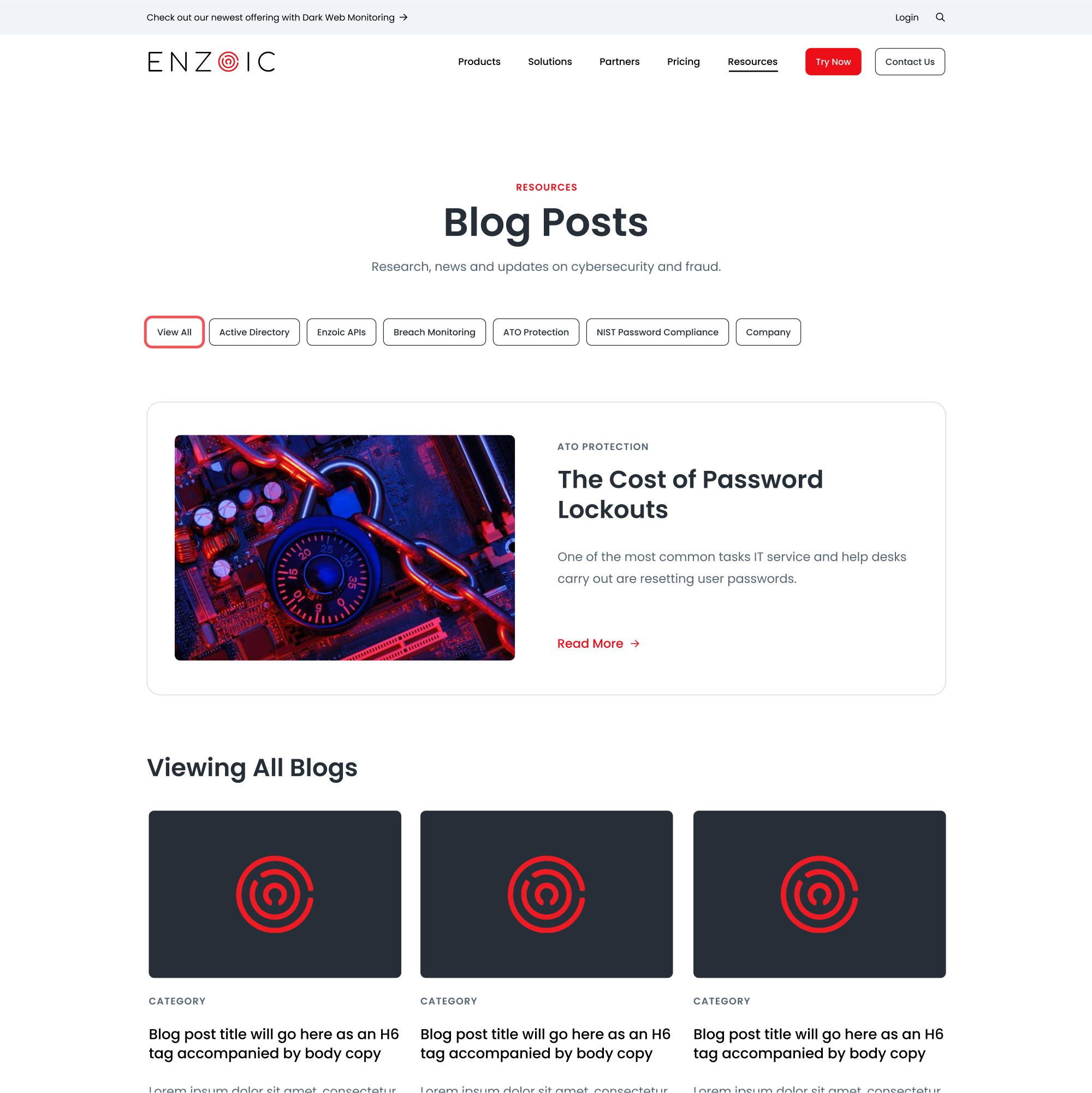 Enzoic Website designs