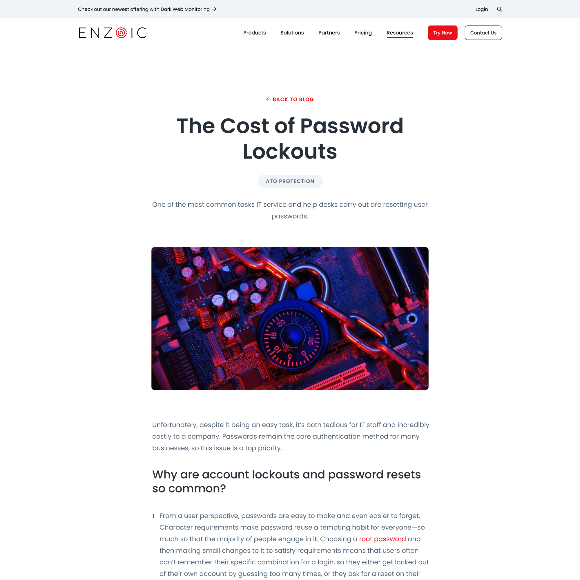 Enzoic Website designs