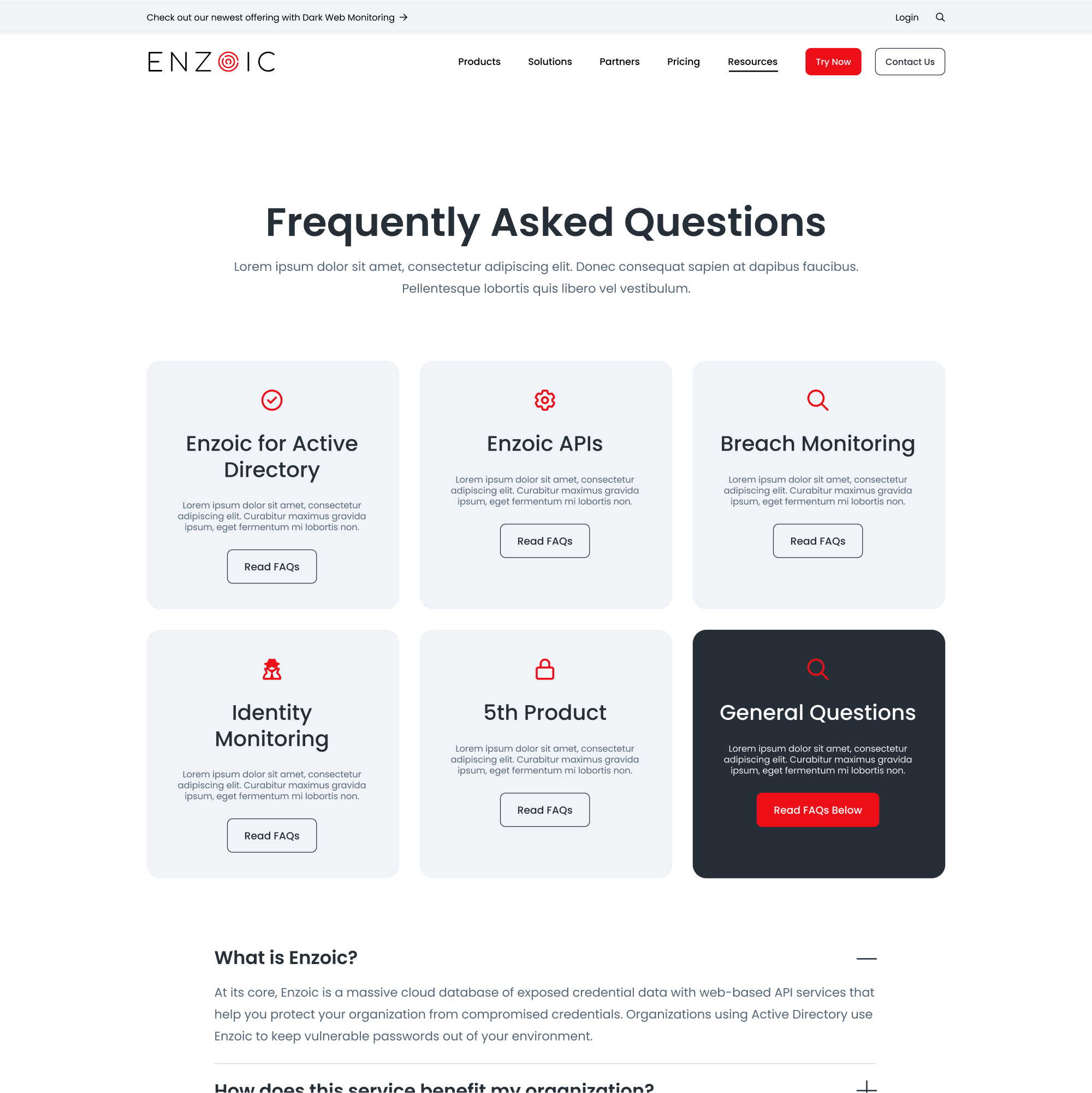 Enzoic Website designs