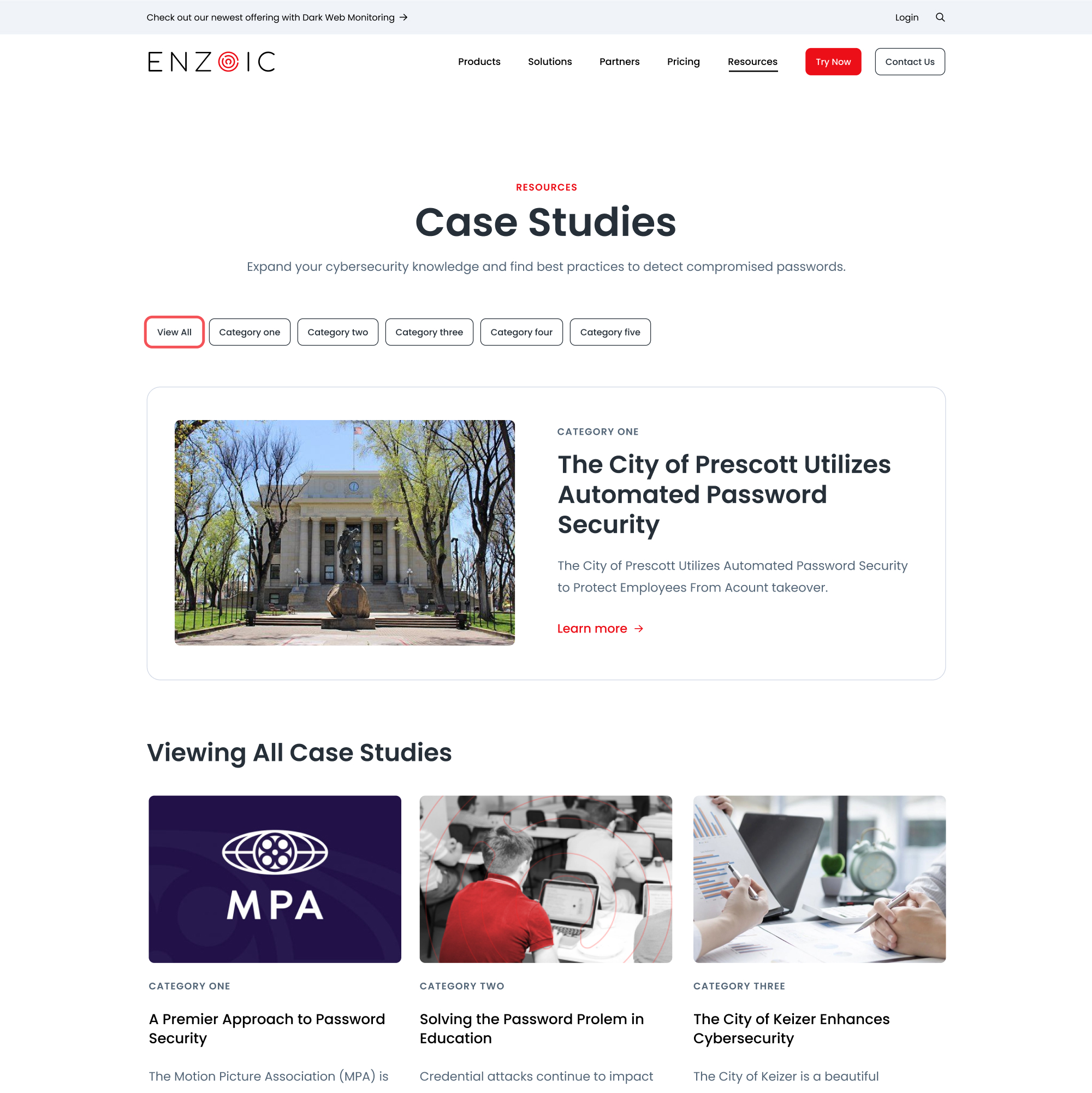 Enzoic Website designs