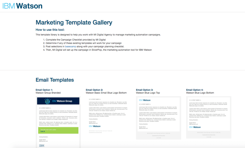 Campaign Acceleration using Silverpop Marketing Automation